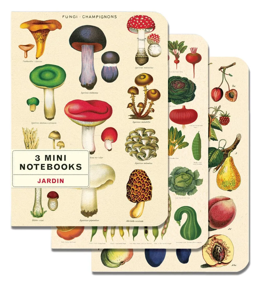 Cavallini & Co Mini Notebook Le Jardin 3 pack