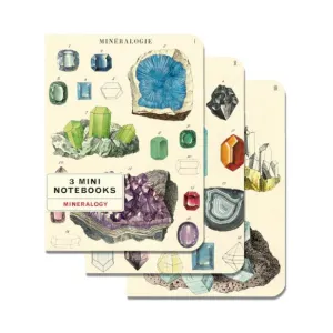 Cavallini Mini Notebook Set 3pk - Minerology, Mixed Paper