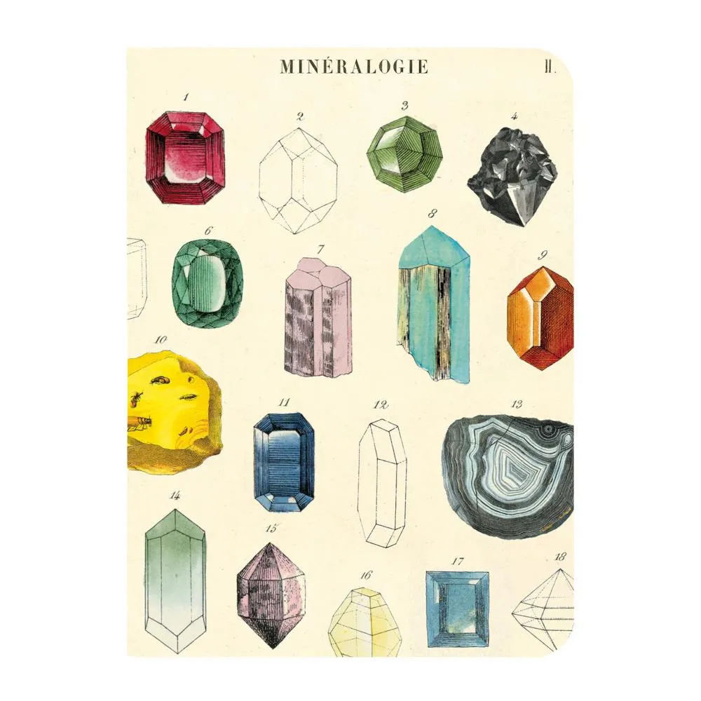 Cavallini Mini Notebook Set 3pk - Minerology, Mixed Paper
