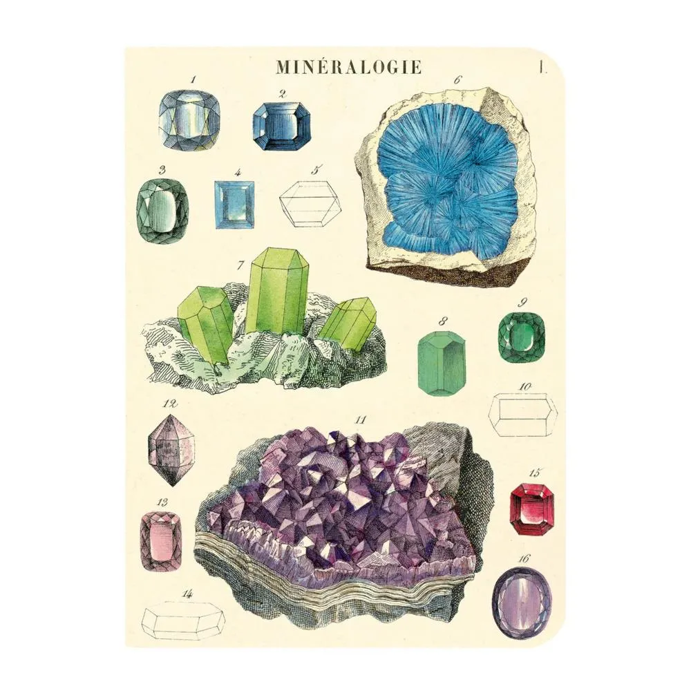 Cavallini Mini Notebook Set 3pk - Minerology, Mixed Paper