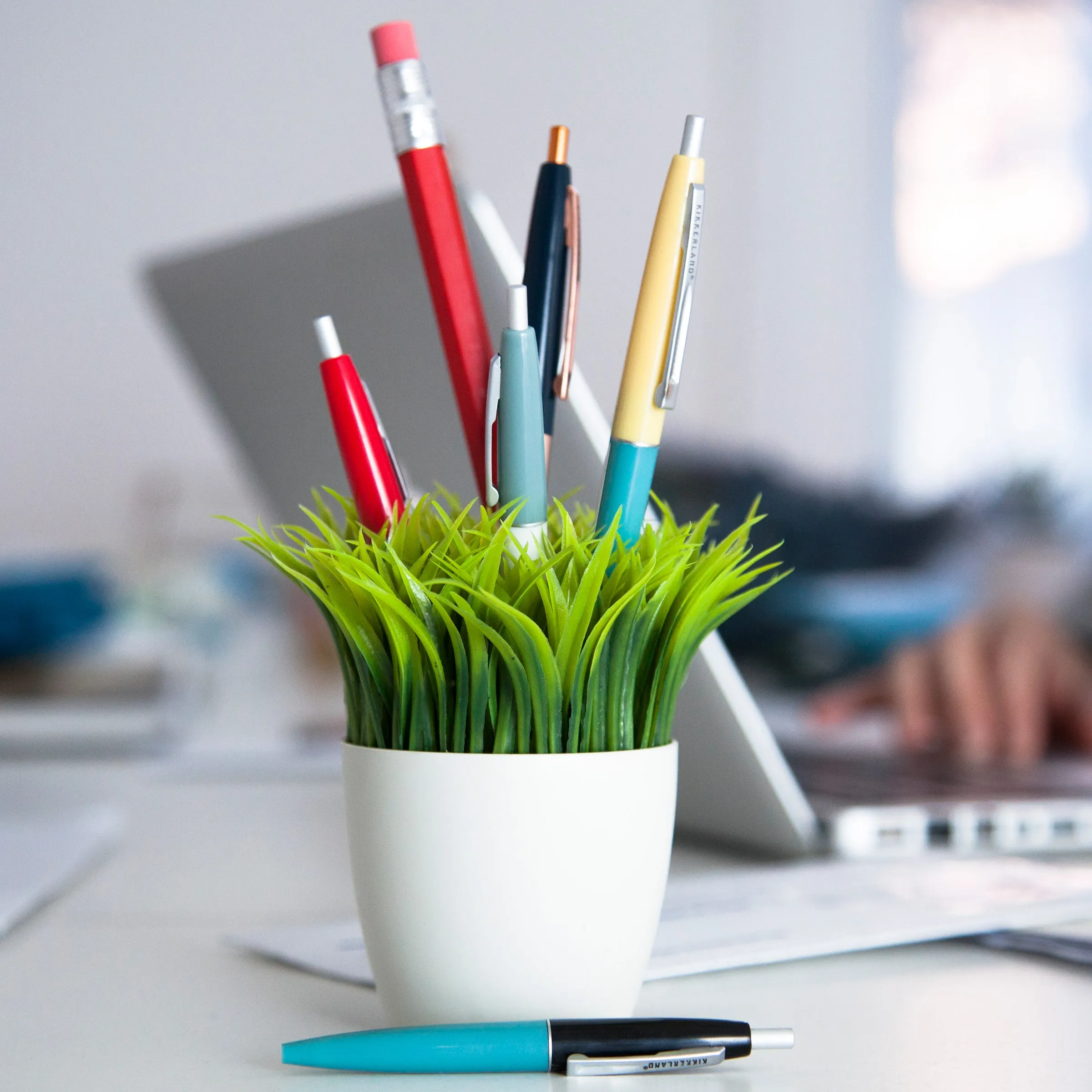 Potted Pen Stand